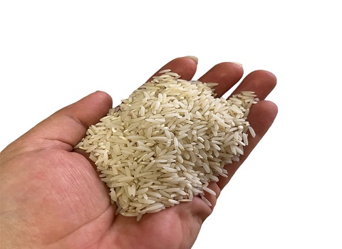 تصویر 2 از قیمت خرید برنج هندی تایماز + فروش ویژه