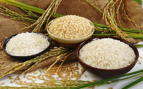 تصویر 1 از خرید و قیمت برنج عنبر بو ایرانی + فروش صادراتی
