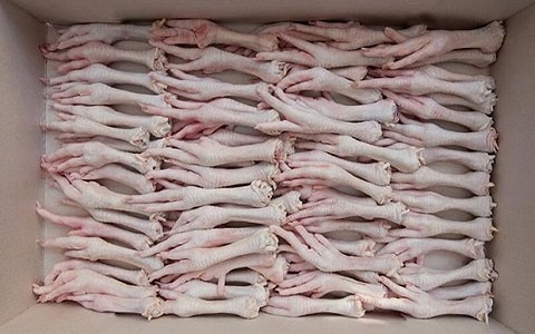 تصویر 3 از خرید و قیمت پای مرغ زنده + فروش عمده