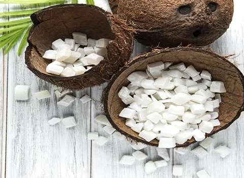 تصویر 3 از قیمت میوه خشک نارگیل + خرید باور نکردنی