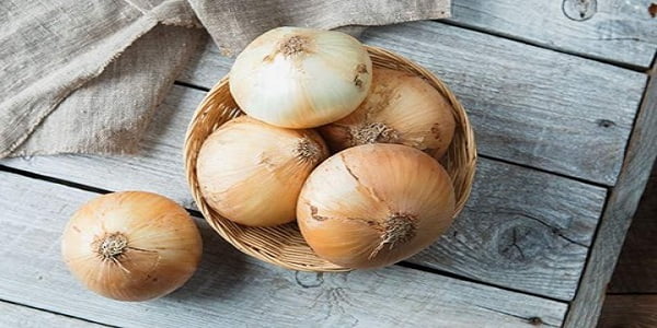 تصویر 3 از قیمت پیاز زرد جیرفت + خرید باور نکردنی