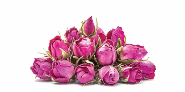 تصویر 5 از قیمت غنچه گل محمدی کاشان + خرید باور نکردنی