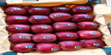 تصویر 4 از خرید و قیمت سیب قرمز مرغوب + فروش صادراتی