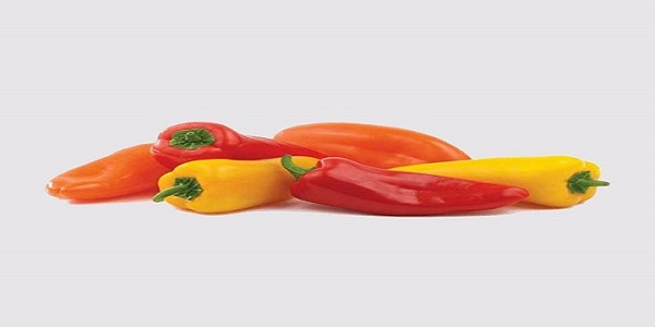 تصویر 3 از قیمت خرید فلفل دلمه ای کاپی + فروش ویژه