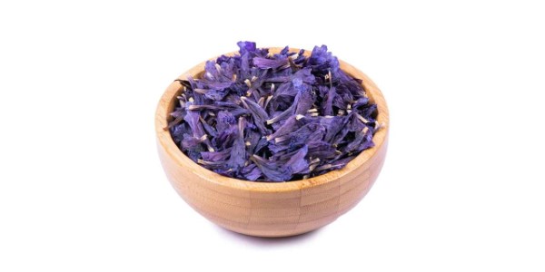 فروش گل