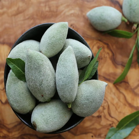 تصویر 3 از بادام درختی سبز تاره برداشت درجه یک
