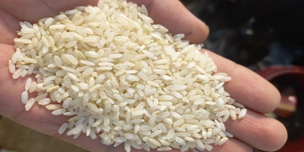 تصویر 5 از خرید برنج چمپای خوزستان + قیمت فروش استثنایی