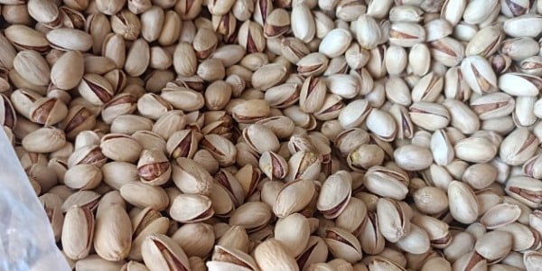 تصویر 5 از خرید و قیمت پسته احمد آقایی صادراتی + فروش عمده
