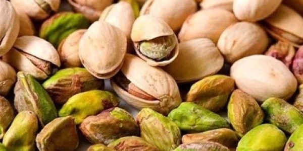 تصویر 3 از خرید و قیمت پسته صادراتی اکبری + فروش عمده