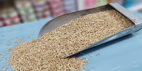 تصویر 4 از خرید و فروش دانه کتان سفید با شرایط فوق العاده