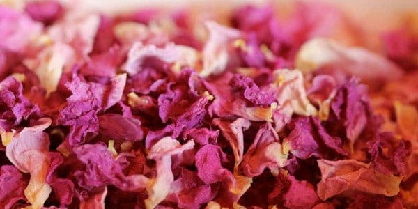 تصویر 1 از فروش برگ گل محمدی خشک + قیمت خرید به صرفه