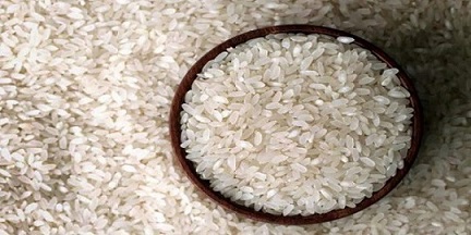 تصویر 4 از قیمت خرید برنج چمپا فوق ممتاز + فروش ویژه