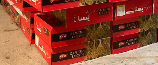 تصویر 4 از خرید و فروش خرما زاهدی یسنا با شرایط فوق العاده