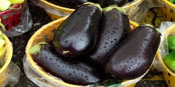 تصویر 2 از خرید بادمجان لامپی اصفهان + قیمت فروش استثنایی