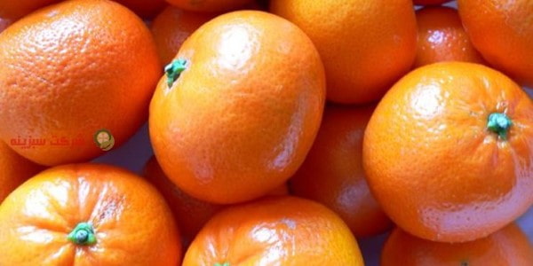 تصویر 1 از قیمت خرید نارنگی شمال ایران با فروش عمده