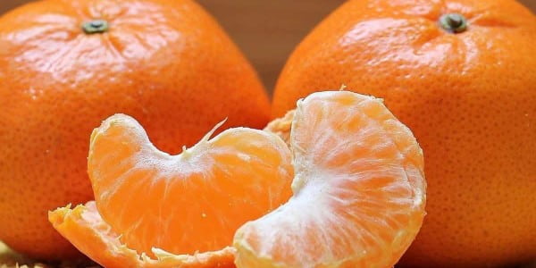 تصویر 4 از قیمت خرید نارنگی شمال ایران با فروش عمده