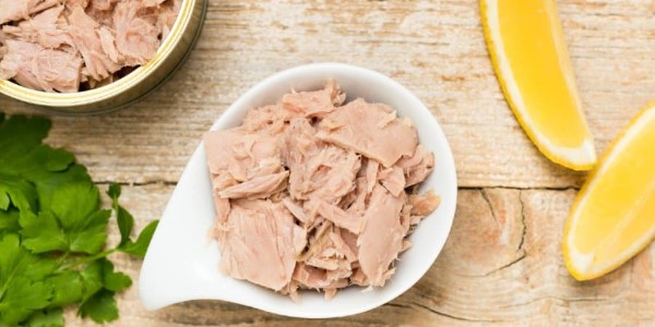 تصویر 3 از قیمت خرید کنسرو ماهی تن روغن گیاهی 180 گرمی طلایی لادن + فروش ویژه