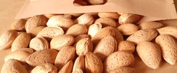 تصویر 4 از خرید و قیمت بادام سنگی شهرکرد + فروش صادراتی