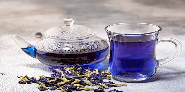 تصویر 1 از خرید گیاه دارویی گل گاوزبان ایرانی + قیمت فروش استثنایی