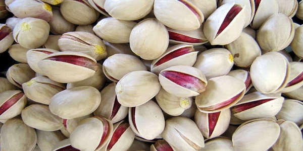 تصویر 3 از خرید و قیمت پسته بادامی فیض آباد + فروش صادراتی