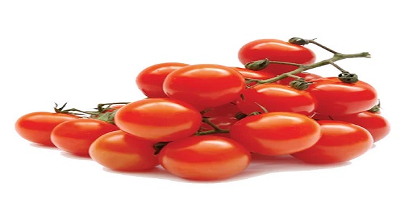 تصویر 5 از قیمت گوجه فرنگی ریز گیلاسی با کیفیت ارزان + خرید عمده