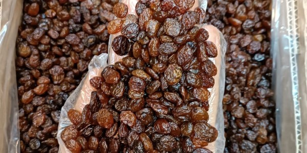 تصویر 4 از قیمت کشمش پلویی ملایر با کیفیت ارزان + خرید عمده