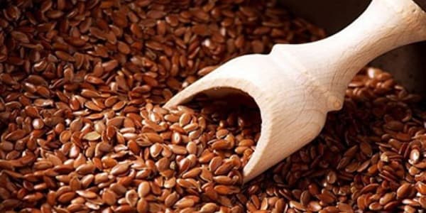 تصویر 5 از خرید و قیمت تخم کتان قرمز + فروش صادراتی