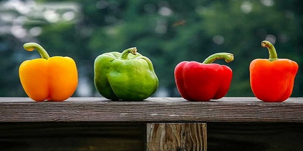 تصویر 3 از قیمت فلفل دلمه ای صیفی جات با کیفیت ارزان + خرید عمده