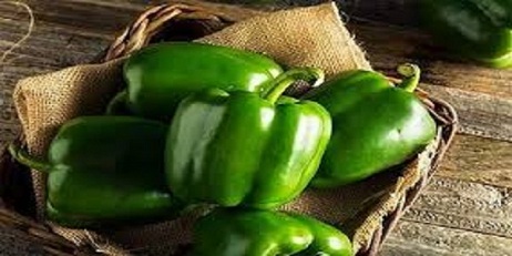 تصویر 5 از خرید و قیمت فلفل دلمه سبز + فروش عمده