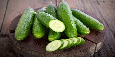 تصویر 1 از قیمت خرید خیار سبز خاردار + فروش ویژه