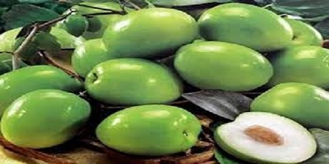 تصویر 5 از خرید و فروش عناب تازه سبز با شرایط فوق العاده