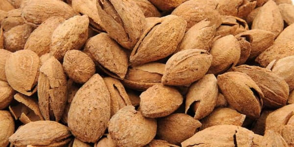 تصویر 1 از خرید بادام سنگی با پوست + قیمت فروش استثنایی