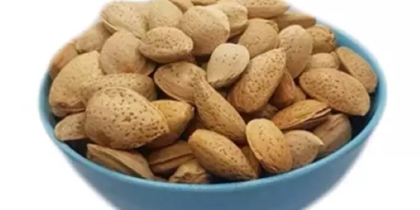 تصویر 2 از خرید بادام سنگی با پوست + قیمت فروش استثنایی