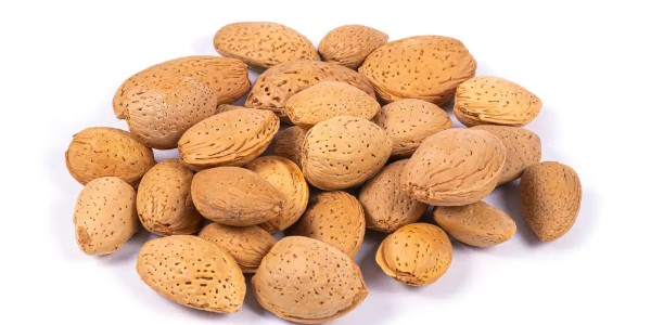تصویر 3 از خرید بادام سنگی با پوست + قیمت فروش استثنایی