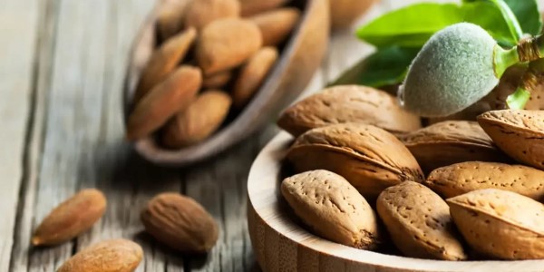 تصویر 5 از خرید بادام سنگی با پوست + قیمت فروش استثنایی