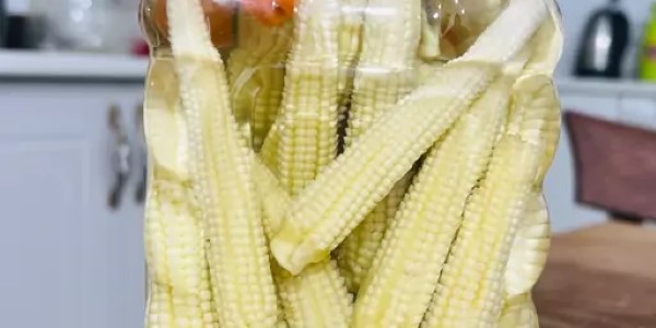 تصویر 3 از خرید و فروش ترشی بلال شور با شرایط فوق العاده