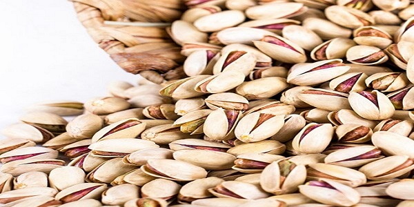 تصویر 4 از قیمت خرید پسته بادامی زرند + فروش ویژه