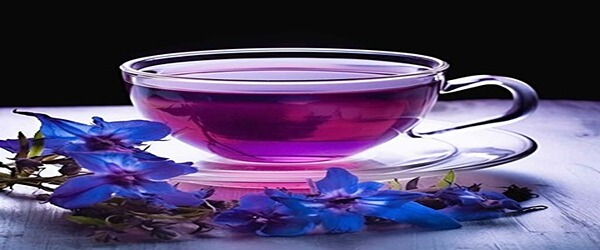تصویر 3 از خرید گل گاو زبان اصل + قیمت فروش استثنایی