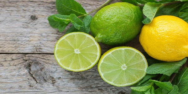تصویر 2 از خرید و قیمت لیمو سبز بزرگ + فروش عمده