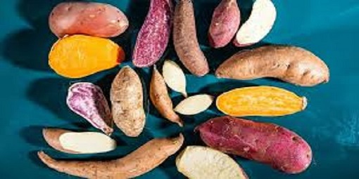تصویر 5 از خرید سیب زمینی شیرین + فروش صادراتی