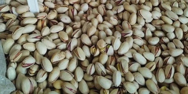 تصویر 5 از قیمت خرید پسته احمد آقایی درجه یک با فروش عمده