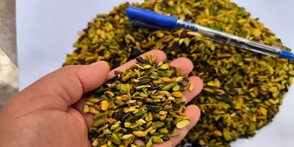 تصویر 1 از خرید و قیمت خلال مغز پسته + فروش عمده