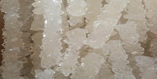 تصویر 1 از خرید و فروش نبات سفید شاخه با شرایط فوق العاده