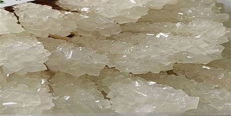 تصویر 3 از خرید و فروش نبات سفید شاخه با شرایط فوق العاده