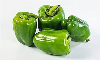 تصویر 4 از قیمت خرید فلفل دلمه ای سبز + فروش ویژه