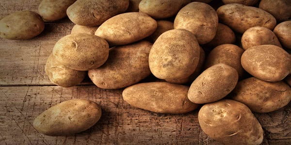 تصویر 2 از خرید و فروش سیب زمینی نژاد بامبا با شرایط فوق العاده