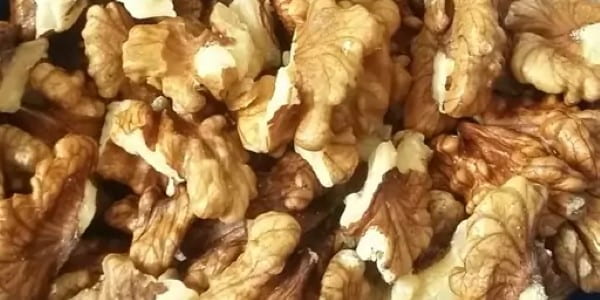 تصویر 5 از خرید مغز گردو روغنی + قیمت فروش استثنایی