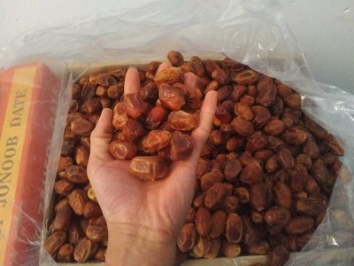 تصویر 1 از قیمت خرید خرما خشک زاهدی + فروش ویژه