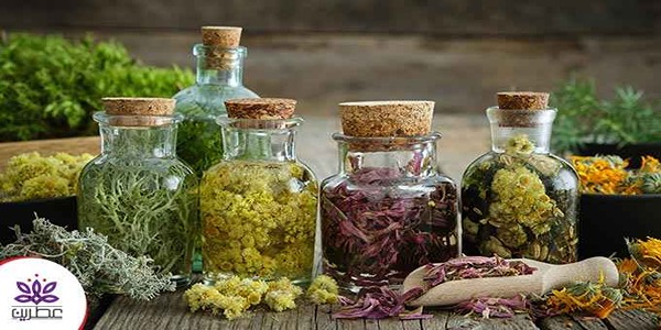 تصویر 4 از قیمت خرید عرق گیاهی پامچال + فروش ویژه