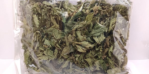 تصویر 4 از فروش گیاه گزنه خشک + قیمت خرید به صرفه